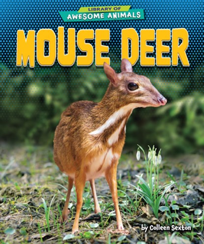 MOUSE DEER, Colleen Sexton - Paperback - 9798885091176
