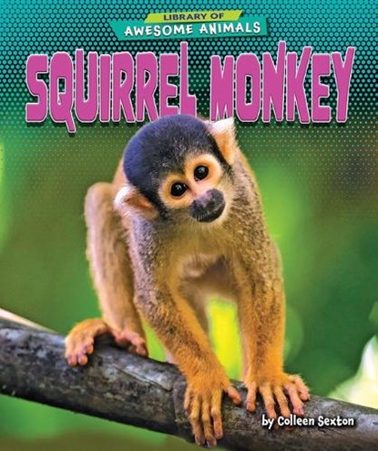 SQUIRREL MONKEY, SEXTON,  Colleen - Paperback - 9798885091206