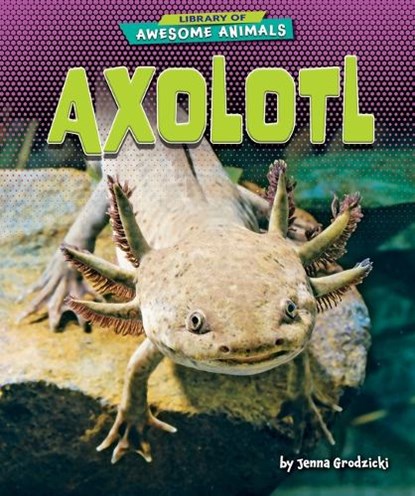 Axolotl, Jenna Grodzicki - Gebonden - 9798885099998