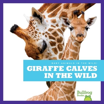 Giraffe Calves in the Wild, Marie Brandle - Paperback - 9798885240666