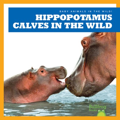 Hippopotamus Calves in the Wild, Marie Brandle - Paperback - 9798885240727