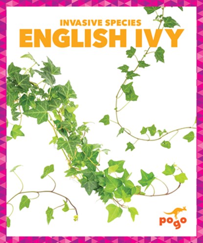English Ivy, Alicia Z. Klepeis - Paperback - 9798885241021