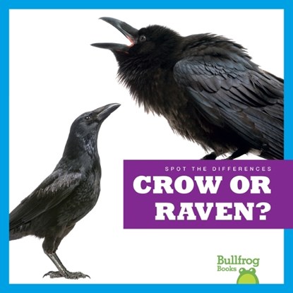 Crow or Raven?, Jamie Rice - Gebonden - 9798885241526