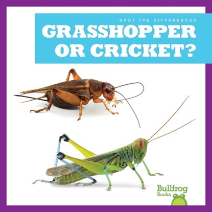 Grasshopper or Cricket?, Jamie Rice - Gebonden - 9798885241649
