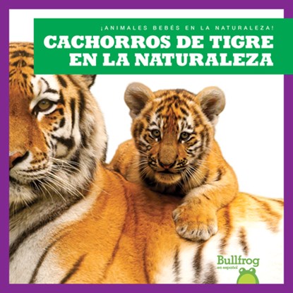 Cachorros de Tigre En La Naturaleza (Tiger Cubs in the Wild), Marie Brandle - Paperback - 9798885242226