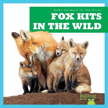 Fox Kits in the Wild, Katie Chanez - Paperback - 9798885244077