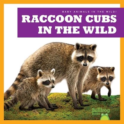 Raccoon Cubs in the Wild, Katie Chanez - Paperback - 9798885244138
