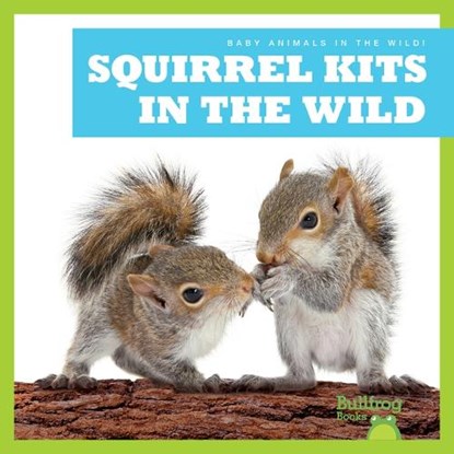Squirrel Kits in the Wild, Katie Chanez - Paperback - 9798885244190