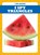 I Spy Triangles, Jenna Lee Gleisner - Paperback - 9798885244794