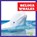Beluga Whales, Katie Chanez - Gebonden - 9798885245869