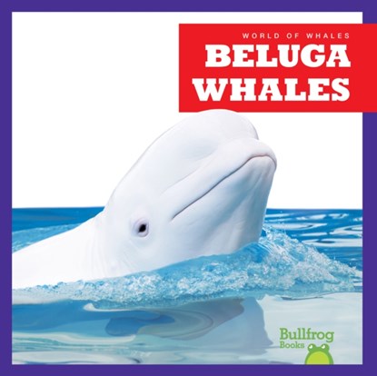 Beluga Whales, Katie Chanez - Gebonden - 9798885245869