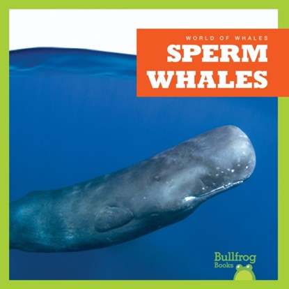 Sperm Whales, Katie Chanez - Gebonden - 9798885246019