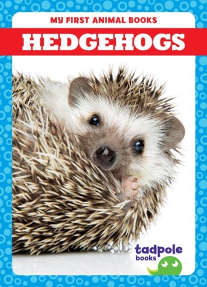 Hedgehogs, Marie Brandle - Gebonden - 9798885246613