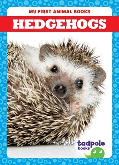 Hedgehogs, BRANDLE,  Marie - Paperback - 9798885246620