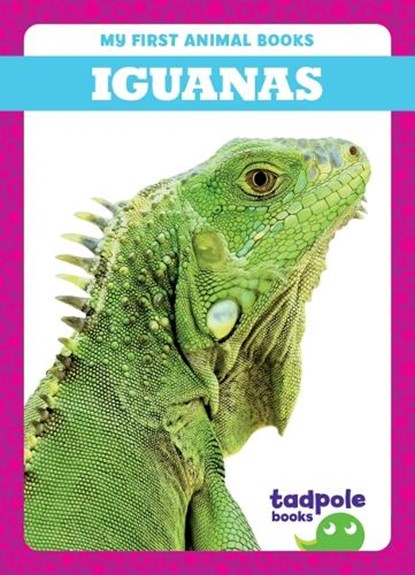 Iguanas, Natalie Deniston - Paperback - 9798885246651