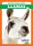 Llamas, Marie Brandle - Gebonden - 9798885246705