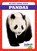 Pandas, Natalie Deniston - Gebonden - 9798885246767