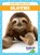 Sloths, Marie Brandle - Gebonden - 9798885246828