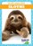 Sloths, Marie Brandle - Paperback - 9798885246835