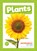 Plants, Louise Nelson - Paperback - 9798885248242