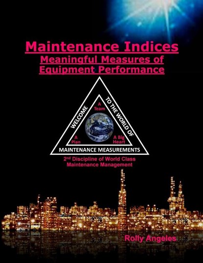 Maintenance Indices - Meaningful Measures Of Equipment Performance, Rolly Angeles - Paperback - 9798885260039