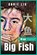 Big Fish, Annie Liu - Paperback - 9798885975452