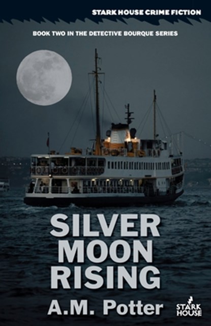 Silver Moon Rising, A. M. Potter - Paperback - 9798886011005