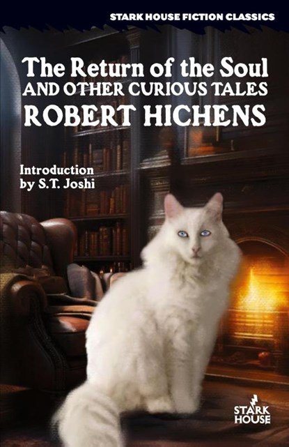The Return of the Soul & Other Curious Tales, Robert Hichens - Paperback - 9798886011180