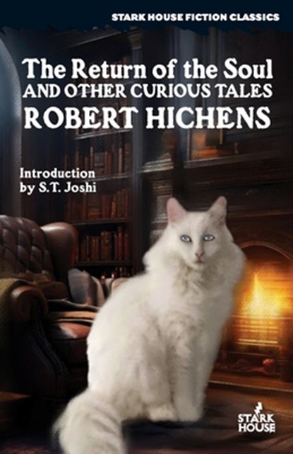 The Return of the Soul & Other Curious Tales, Robert Hichens - Paperback - 9798886011180