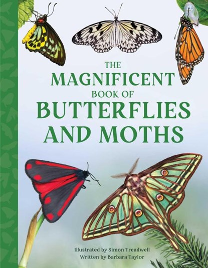 Taylor, B: Magnificent Book of Butterflies and Moths, Barbara Taylor - Gebonden - 9798886740332