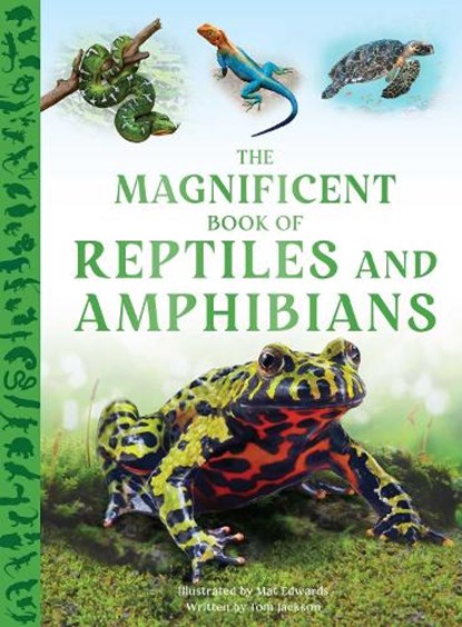 The Magnificent Book of Reptiles and Amphibians, Tom Jackson - Gebonden - 9798886741636