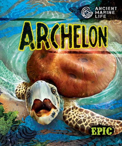 Archelon, Kate Moening - Paperback - 9798886872163