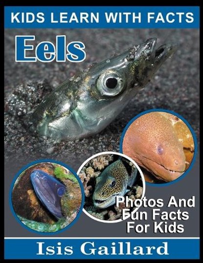 Eels, Isis Gaillard - Paperback - 9798887006314