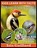 Woodpeckers, Isis Gaillard - Paperback - 9798887006550