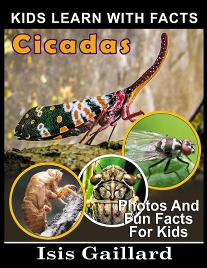 Cicadas, Isis Gaillard - Paperback - 9798887008387