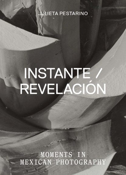 Instante/revelacion, Julieta Pestarino - Paperback - 9798887120317