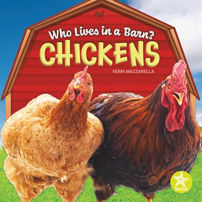Chickens, Kerri Mazzarella - Paperback - 9798887350202
