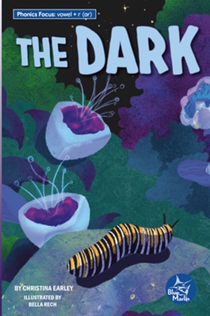 The Dark, Christina Earley - Paperback - 9798887353807