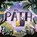 Curll, J: My Path, Jana Curll - Gebonden - 9798887772134