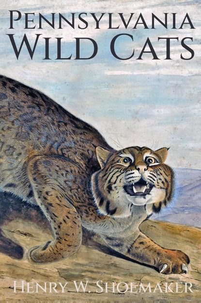 Pennsylvania Wild Cats, Henry W Shoemaker - Paperback - 9798888193518