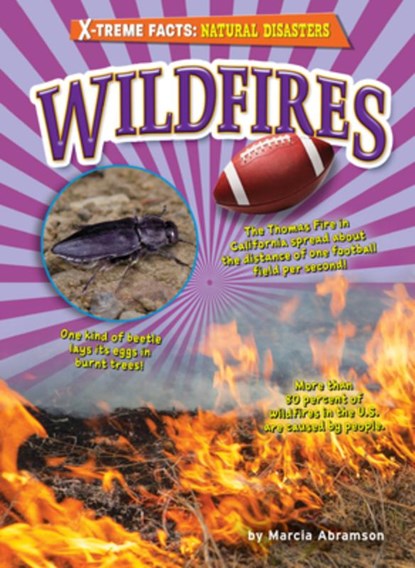 Wildfires, Marcia Abramson - Paperback - 9798888221587