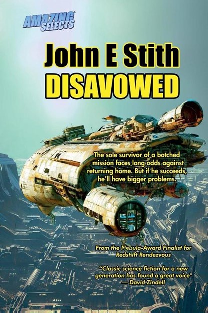 Disavowed, John E. Stith - Paperback - 9798888315439