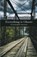 Everything is Ghosts, Tyler Robert Sheldon - Paperback - 9798888388006