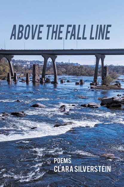 Above the Fall Line, Clara Silverstein - Paperback - 9798888388808