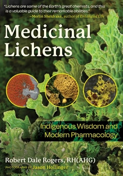 Medicinal Lichens, Robert Dale Rogers - Paperback - 9798888500248