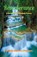 Reverberance, Ramesh Chandra - Paperback - 9798888831151