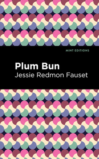 Plum Bun: A Novel Without a Moral, Jessie Redmon Fauset - Paperback - 9798888975855