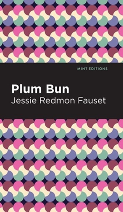 Plum Bun: A Novel Without a Moral, Jessie Redmon Fauset - Gebonden - 9798888976319