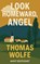 Look Homeward, Angel, Thomas Wolfe - Paperback - 9798888976975