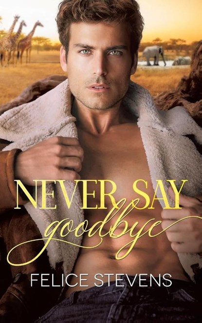 Never Say Goodbye, Felice Stevens - Paperback - 9798889490135